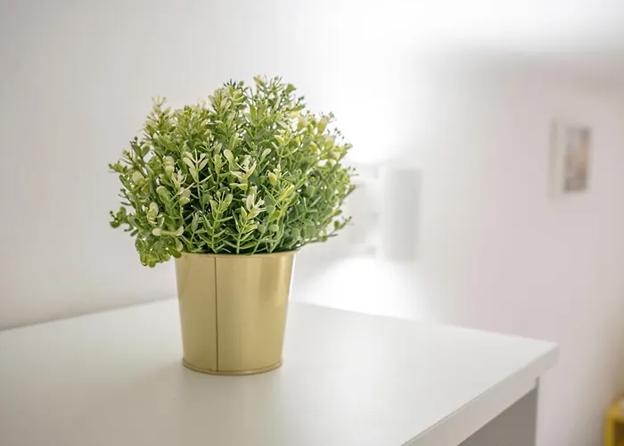 Daire Metro Yellow