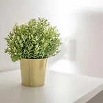 Appartement Metro Yellow